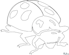 ladybird Coloring Pages To Print